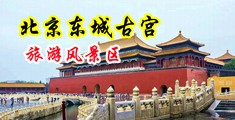 艹逼视频欧美中国北京-东城古宫旅游风景区